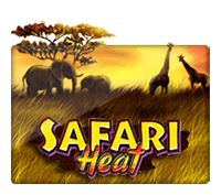 safari heat