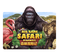 big game safari