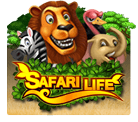 safari life